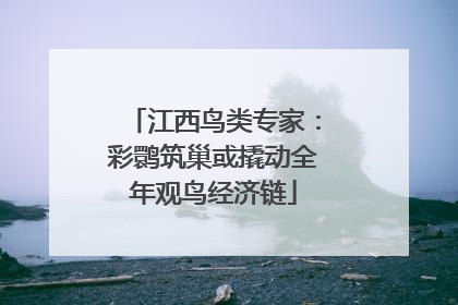 江西鸟类专家：彩鹮筑巢或撬动全年观鸟经济链