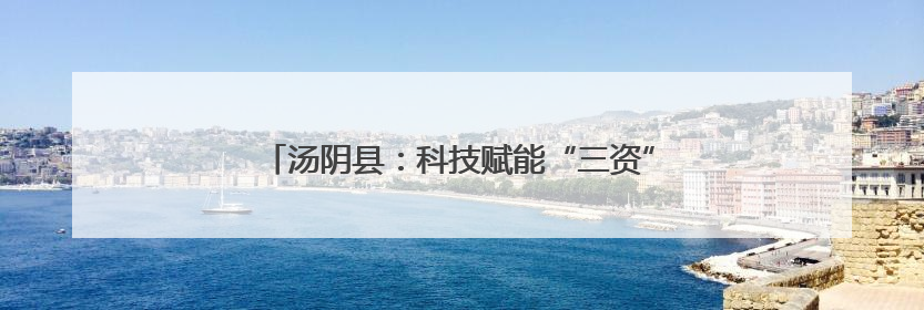 汤阴县：科技赋能“三资”监管守好集体资源“家底”