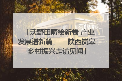 沃野田畴绘新卷 产业发展谱新篇——陕西岚皋乡村振兴走访见闻