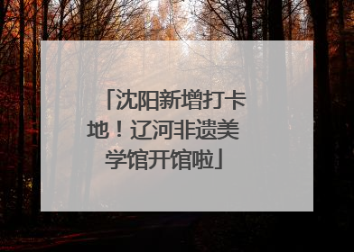 沈阳新增打卡地！辽河非遗美学馆开馆啦