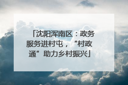 沈阳浑南区：政务服务进村屯，“村政通”助力乡村振兴