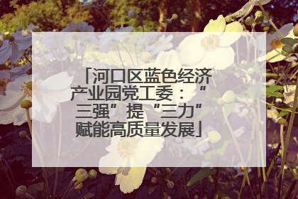 河口区蓝色经济产业园党工委：“三强”提“三力”赋能高质量发展