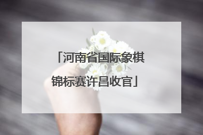 河南省国际象棋锦标赛许昌收官