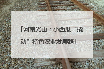 河南光山：小西瓜“撬动”特色农业发展路