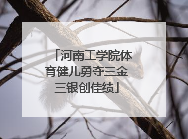河南工学院体育健儿勇夺三金三银创佳绩