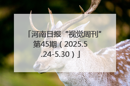 河南日报“视觉周刊”第45期（2025.5.24-5.30）