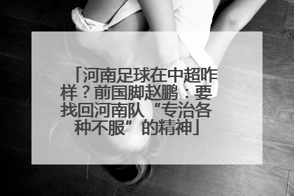 河南足球在中超咋样？前国脚赵鹏：要找回河南队“专治各种不服”的精神
