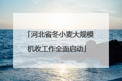 河北省冬小麦大规模机收工作全面启动
