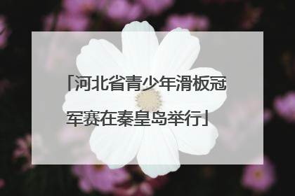 河北省青少年滑板冠军赛在秦皇岛举行