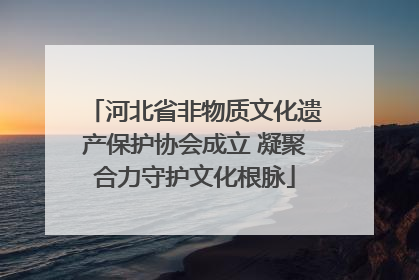 河北省非物质文化遗产保护协会成立 凝聚合力守护文化根脉