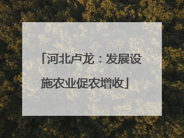 河北卢龙：发展设施农业促农增收
