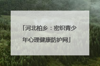 河北柏乡：密织青少年心理健康防护网