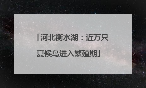 河北衡水湖：近万只夏候鸟进入繁殖期