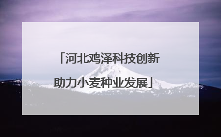 河北鸡泽科技创新助力小麦种业发展