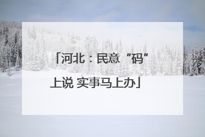 河北：民意“码”上说 实事马上办