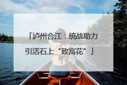 泸州合江：统战助力引活石上“致富花”