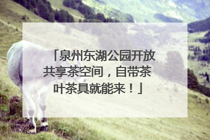 泉州东湖公园开放共享茶空间，自带茶叶茶具就能来！
