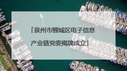 泉州市鲤城区电子信息产业链党委揭牌成立