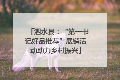 泗水县：“第一书记好品推荐”展销活动助力乡村振兴