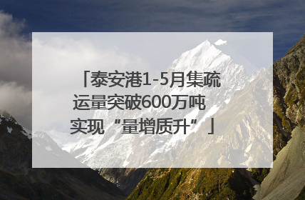 泰安港1-5月集疏运量突破600万吨 实现“量增质升”