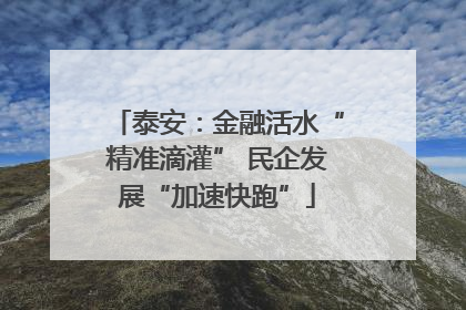 泰安：金融活水“精准滴灌” 民企发展“加速快跑”