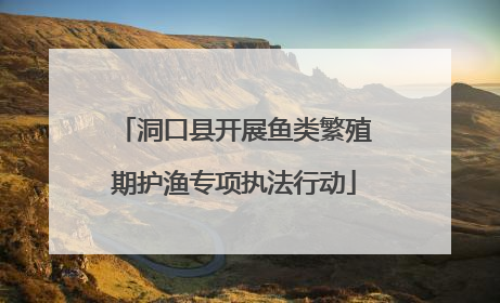洞口县开展鱼类繁殖期护渔专项执法行动