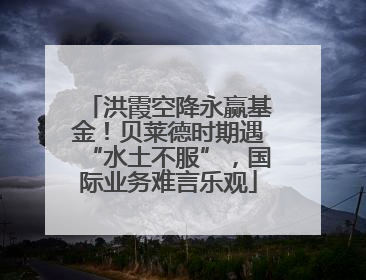 洪霞空降永赢基金！贝莱德时期遇“水土不服”，国际业务难言乐观