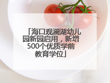 海口观澜湖幼儿园新园启用，新增500个优质学前教育学位