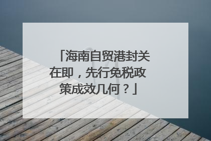 海南自贸港封关在即，先行免税政策成效几何？