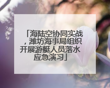 海陆空协同实战，潍坊海事局组织开展游艇人员落水应急演习