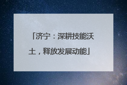 济宁：深耕技能沃土，释放发展动能