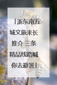 浙东南五城文旅来长推介 三条精品线路喊你去避暑