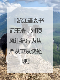 浙江省委书记王浩：对顶风违纪行为从严从重从快处理