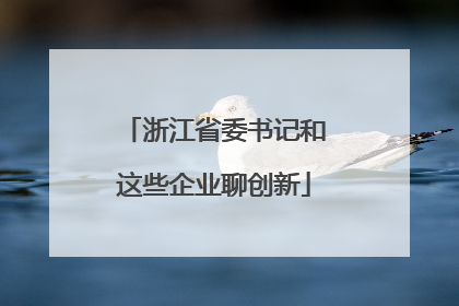 浙江省委书记和这些企业聊创新