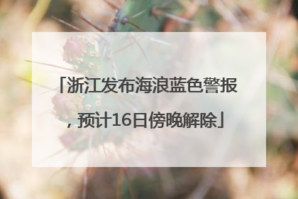 浙江发布海浪蓝色警报，预计16日傍晚解除