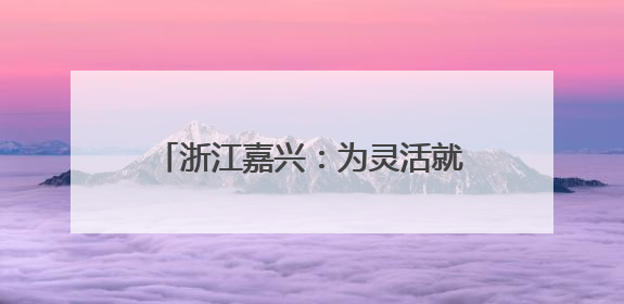 浙江嘉兴：为灵活就业群体提供精准服务