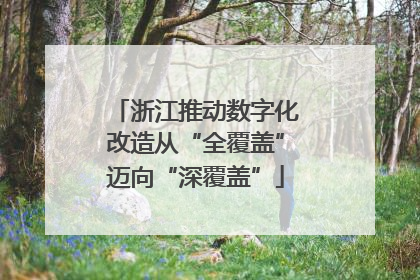 浙江推动数字化改造从“全覆盖”迈向“深覆盖”