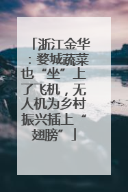 浙江金华：婺城蔬菜也“坐”上了飞机，无人机为乡村振兴插上“翅膀”
