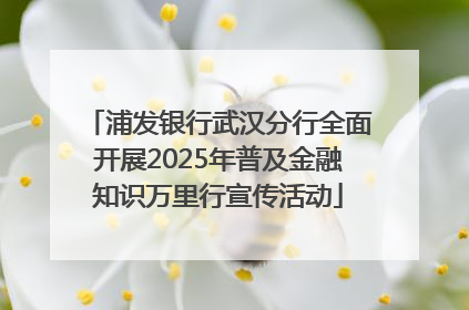 浦发银行武汉分行全面开展2025年普及金融知识万里行宣传活动