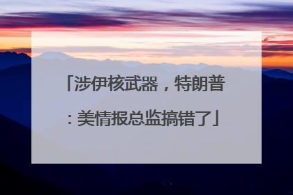 涉伊核武器，特朗普：美情报总监搞错了