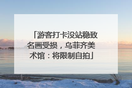 游客打卡没站稳致名画受损，乌菲齐美术馆：将限制自拍
