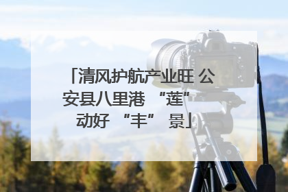 清风护航产业旺 公安县八里港 “莲” 动好 “丰” 景