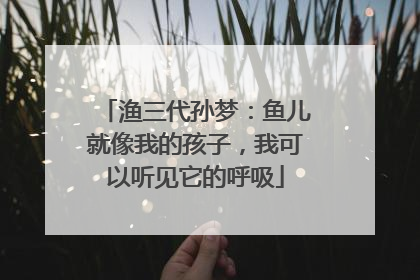 渔三代孙梦：鱼儿就像我的孩子，我可以听见它的呼吸
