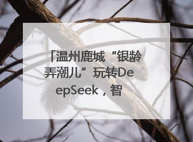 温州鹿城“银龄弄潮儿”玩转DeepSeek，智慧生活触手可及
