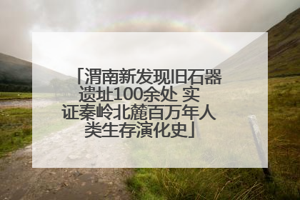 渭南新发现旧石器遗址100余处 实证秦岭北麓百万年人类生存演化史