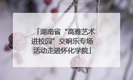 湖南省“高雅艺术进校园”交响乐专场活动走进怀化学院