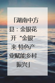 湖南中方县：金银花开“金银”来 特色产业赋能乡村振兴
