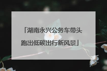 湖南永兴公务车带头跑出低碳出行新风景