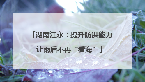湖南江永：提升防洪能力 让雨后不再“看海”