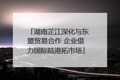湖南芷江深化与东盟贸易合作 企业借力国际陆港拓市场